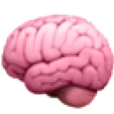 🧠 people icon